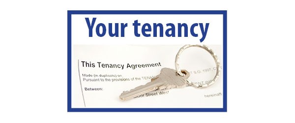 Rent agreement for company